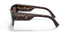 W65613 - Havana - Brown Gradient