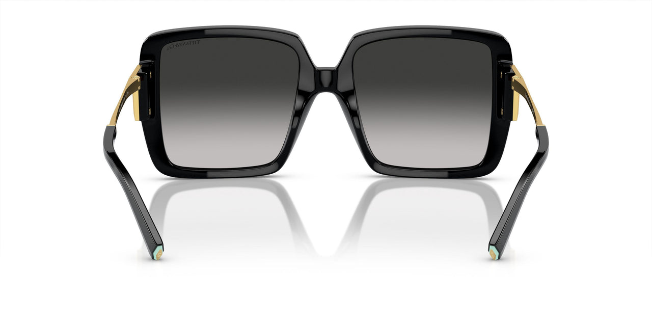 80013C - Black - Grey Gradient