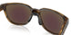 925004 - Tortoise - Prizm Sapphire Polarized