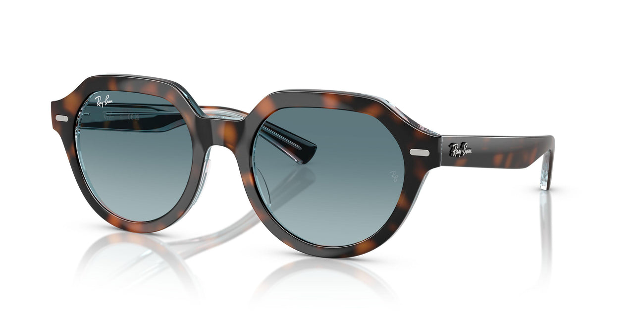 14133M - Tortoise - Blue Gradient Grey