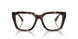 3002 - Brown