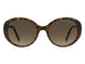 0086-HA - HAVANA - Brown Gradient