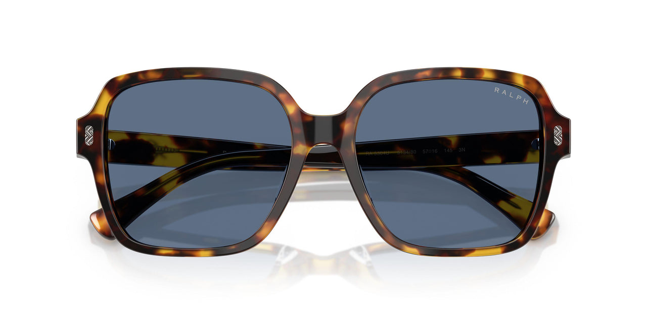 513480 - Tortoise - Dark Blue