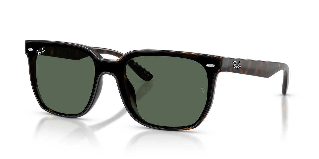 Ray-Ban 4466D Sunglasses
