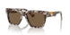 343473 - Beige - Dark Brown