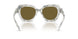 318473 - Brown - Olive Brown