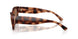635173 - Tortoise - Brown