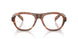 24G1O1 - Brown