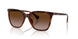 614913 - Tortoise - Brown Gradient