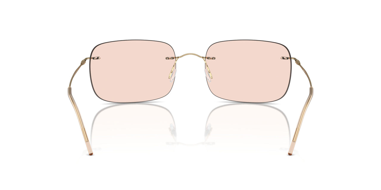 300273 - Gold - Light Brown