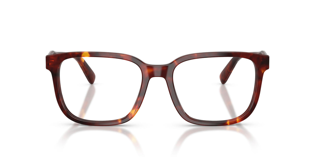 5938 - Tortoise