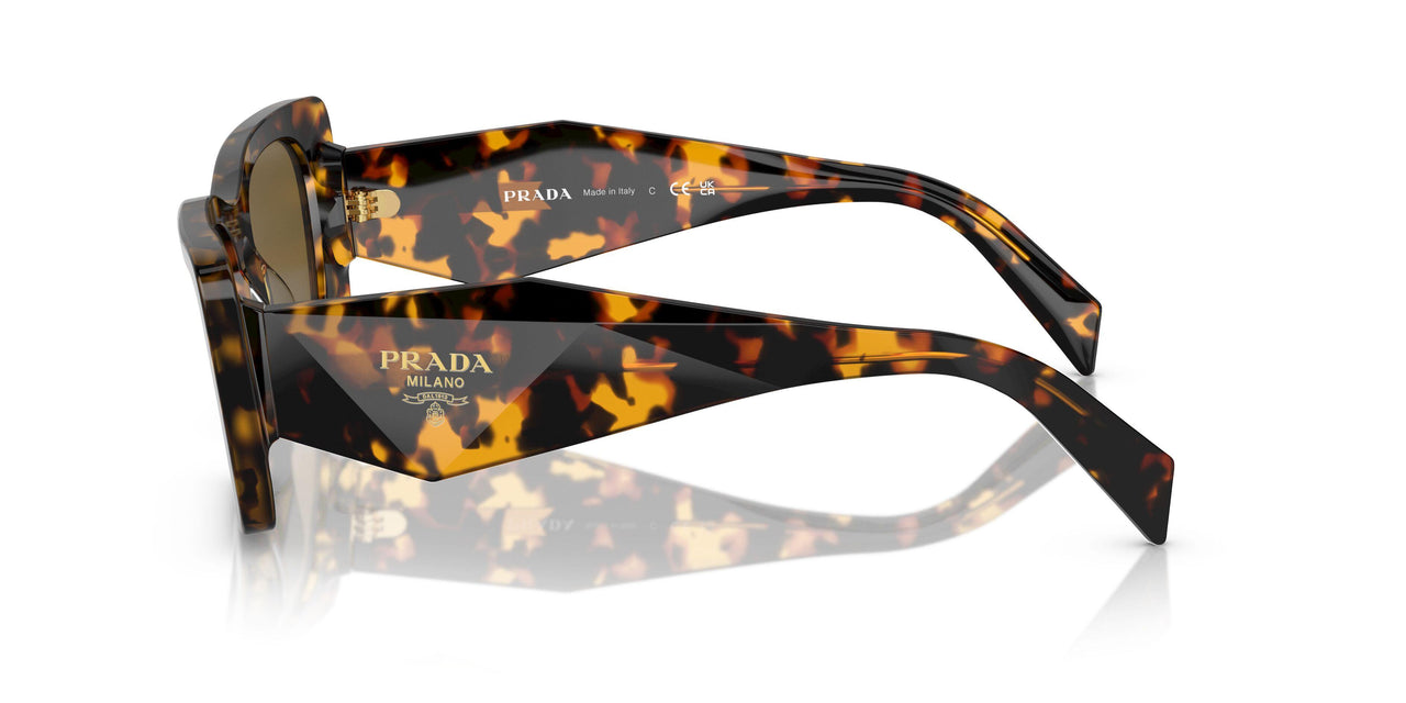 VAU01T - Tortoise - Dark Brown