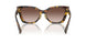 VAU6S1 - Tortoise - Brown Gradient