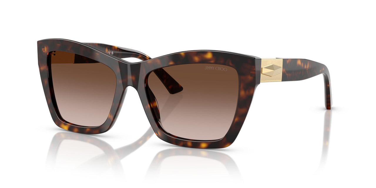 500213 - Tortoise - Gradient Brown
