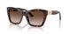 500213 - Tortoise - Gradient Brown