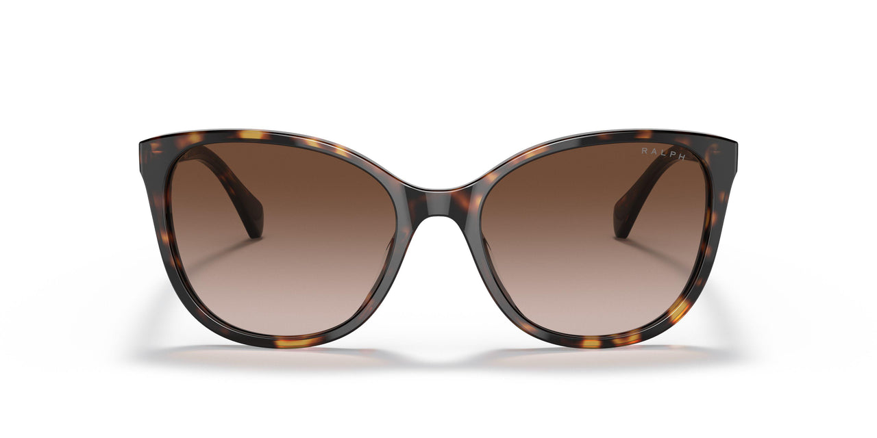 500313 - Havana - Brown Gradient