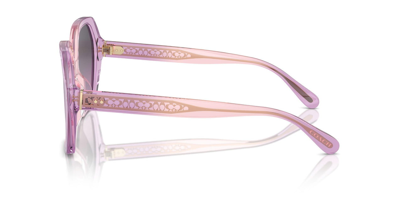 581390 - Violet - Purple Gradient