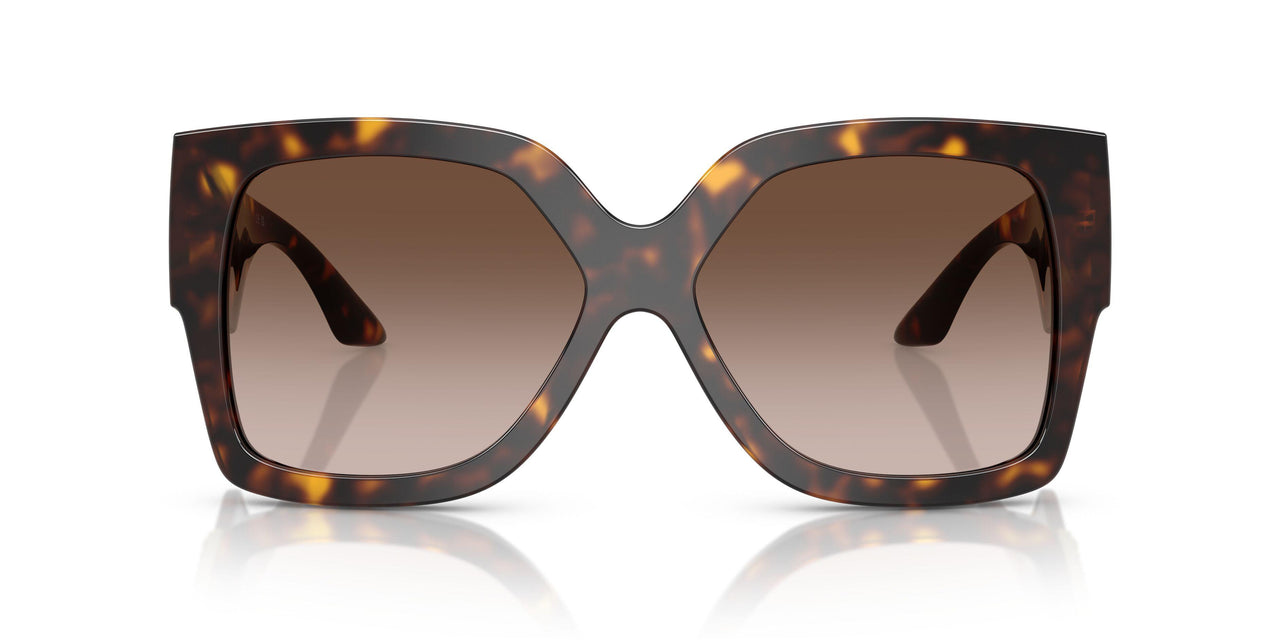 108/13 - Tortoise - Brown Gradient