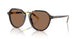 621273 - Tortoise - Dark Brown
