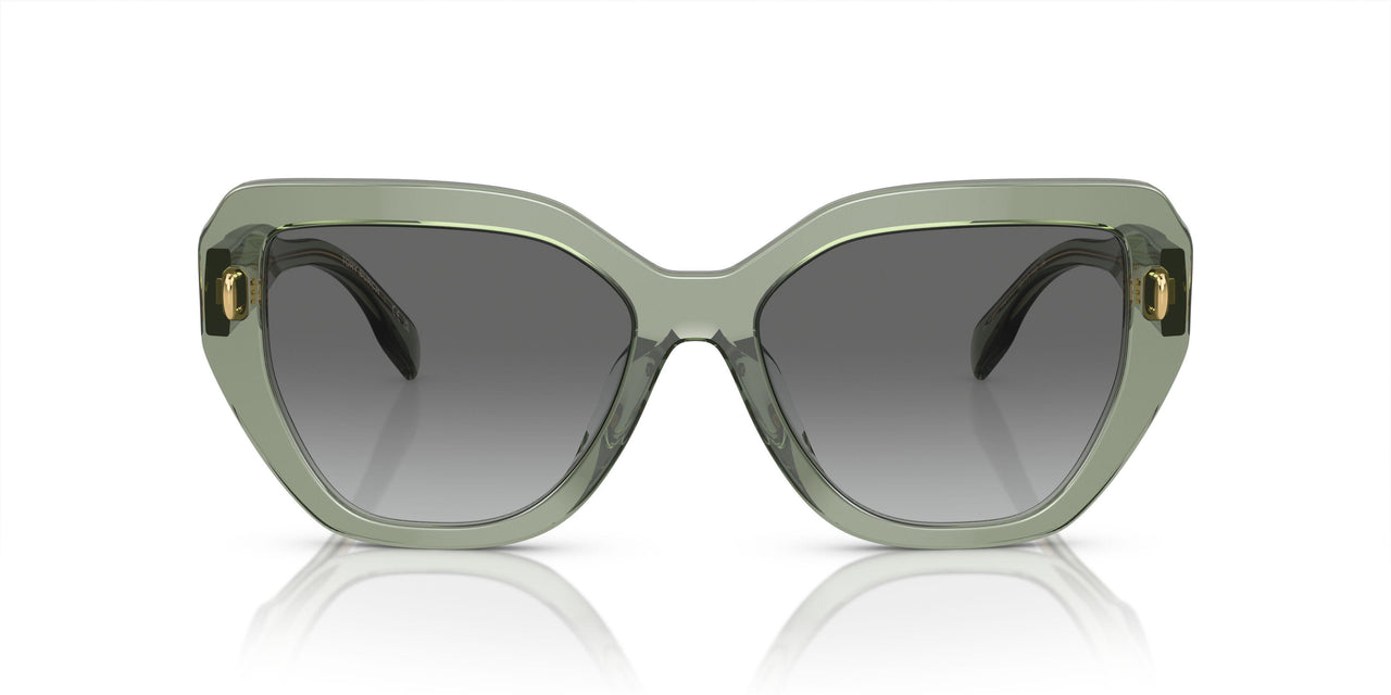 194111 - Green - Light Grey Gradient Dark Grey