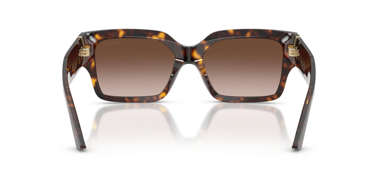 500213 - Tortoise - Brown Gradient