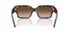 500213 - Tortoise - Brown Gradient