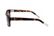 SN2 - BROWN TRANSPARENT BROWN HAVANA BROW