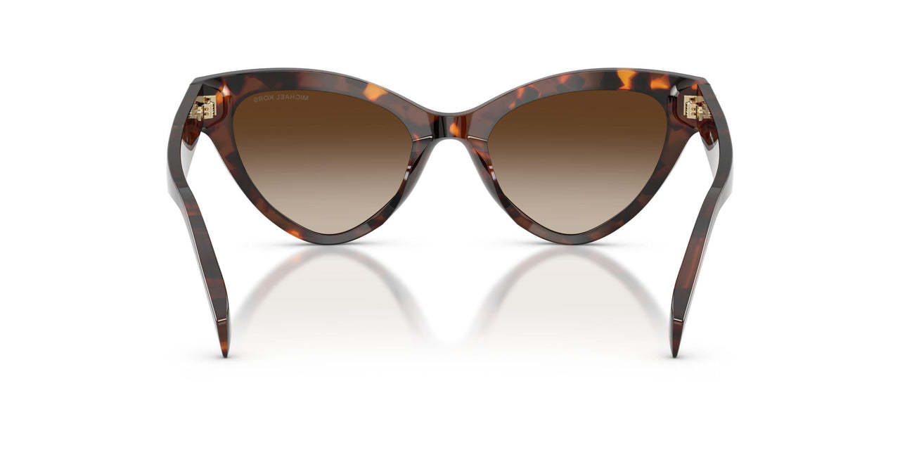 403113 - Tortoise - Smoke Gradient