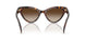 403113 - Tortoise - Smoke Gradient