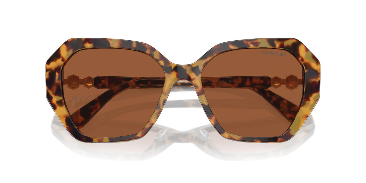 100473 - Tortoise - Dark Brown