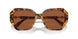 100473 - Tortoise - Dark Brown