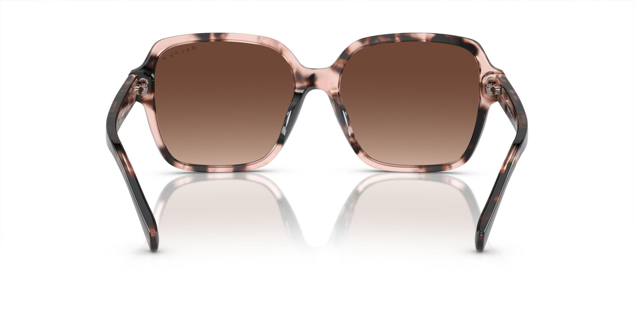 6058T5 - Pink - Polar Gradient Brown