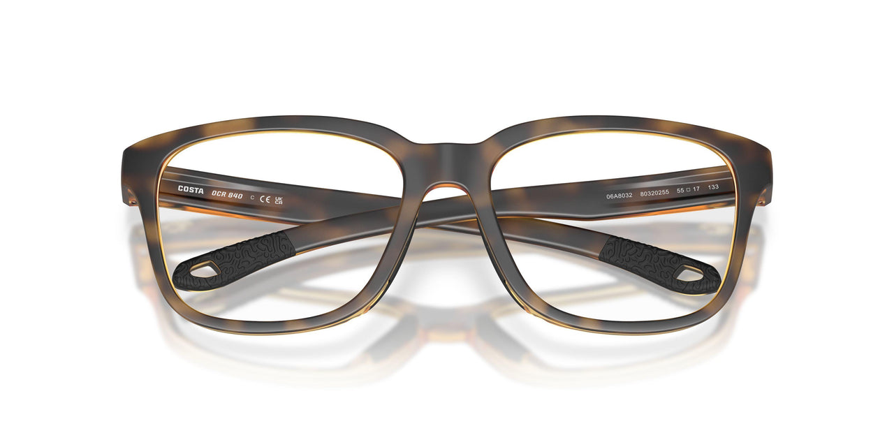 803202 - Tortoise