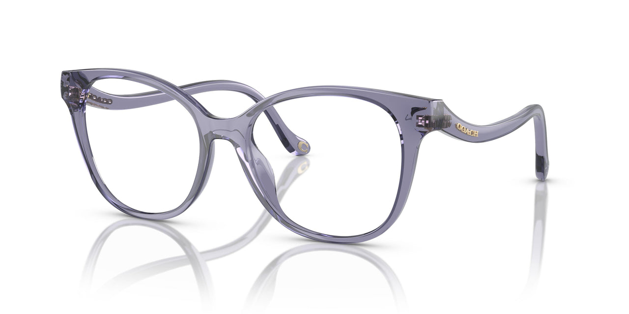 5568 - Violet