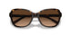 512074 - Havana - Brown Gradient