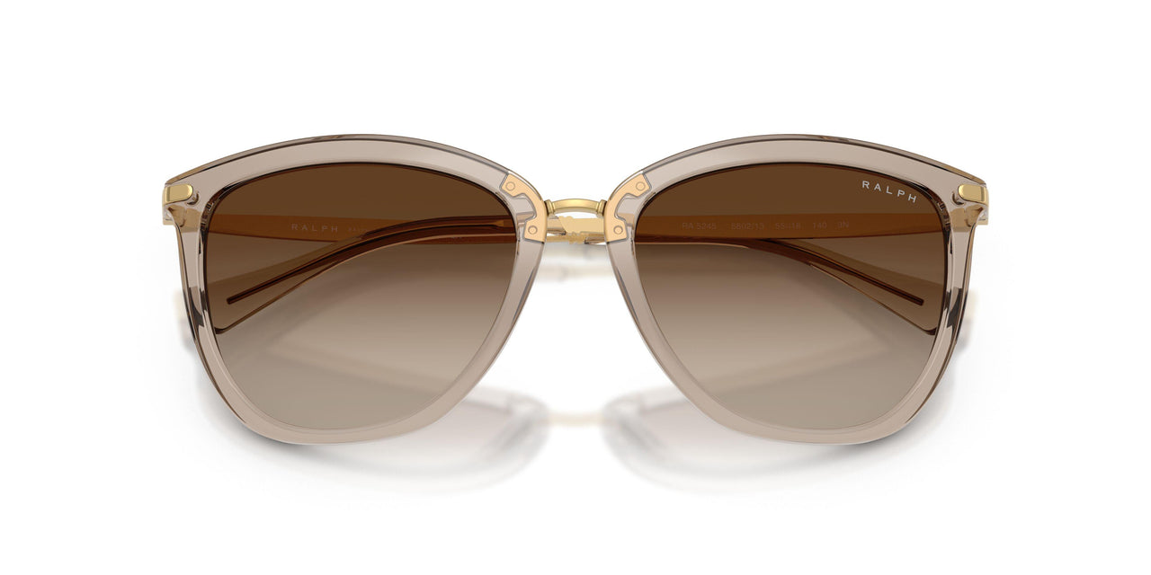580213 - Brown - Gradient Brown