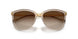 580213 - Brown - Gradient Brown