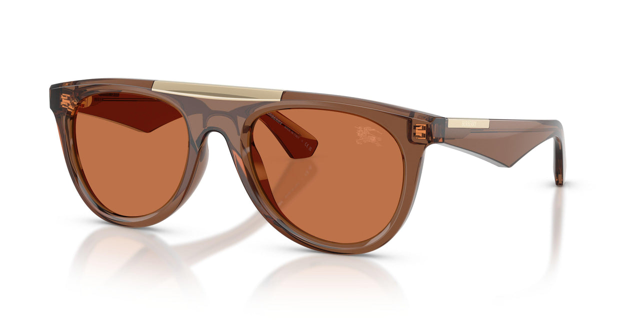 417373 - Brown - Marrone
