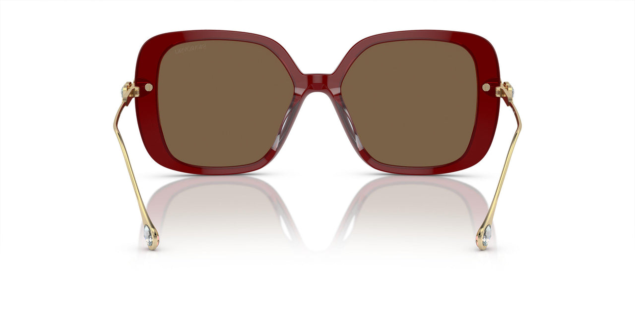 105573 - Violet - Dark Brown