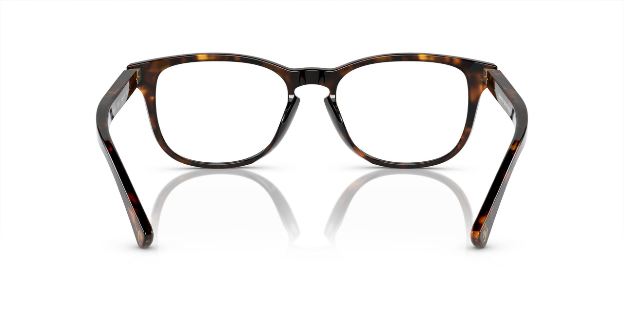 6001 - Tortoise