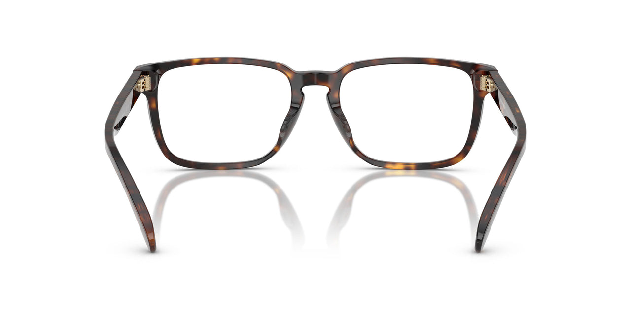 5120 - Tortoise