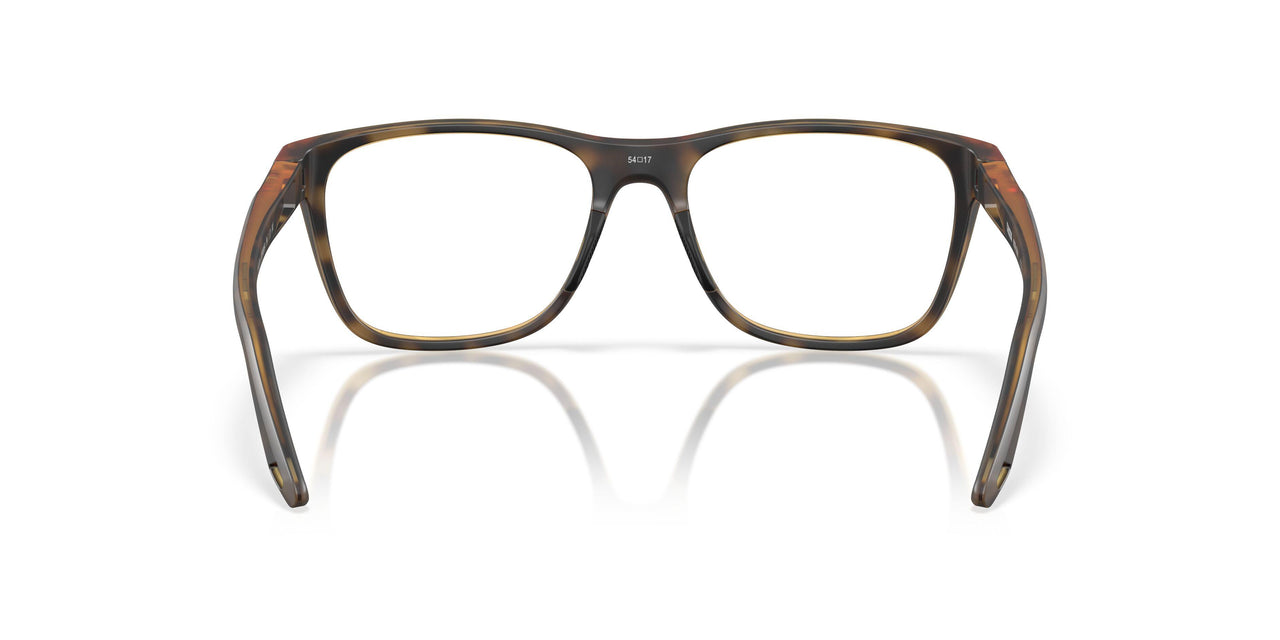 802404 - Tortoise