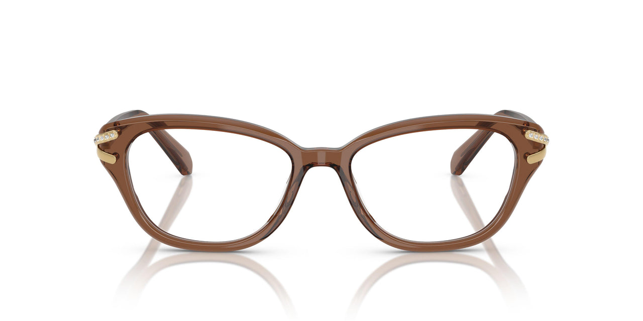 1067 - Brown