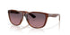 912408 - Tortoise - Rose Gradient