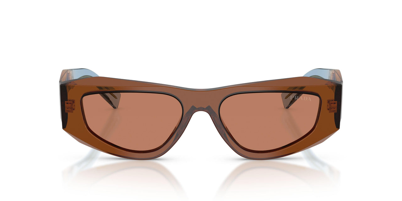 25F90Q - Brown - Brown