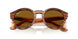 679183 - Brown - Dark Brown Polarized