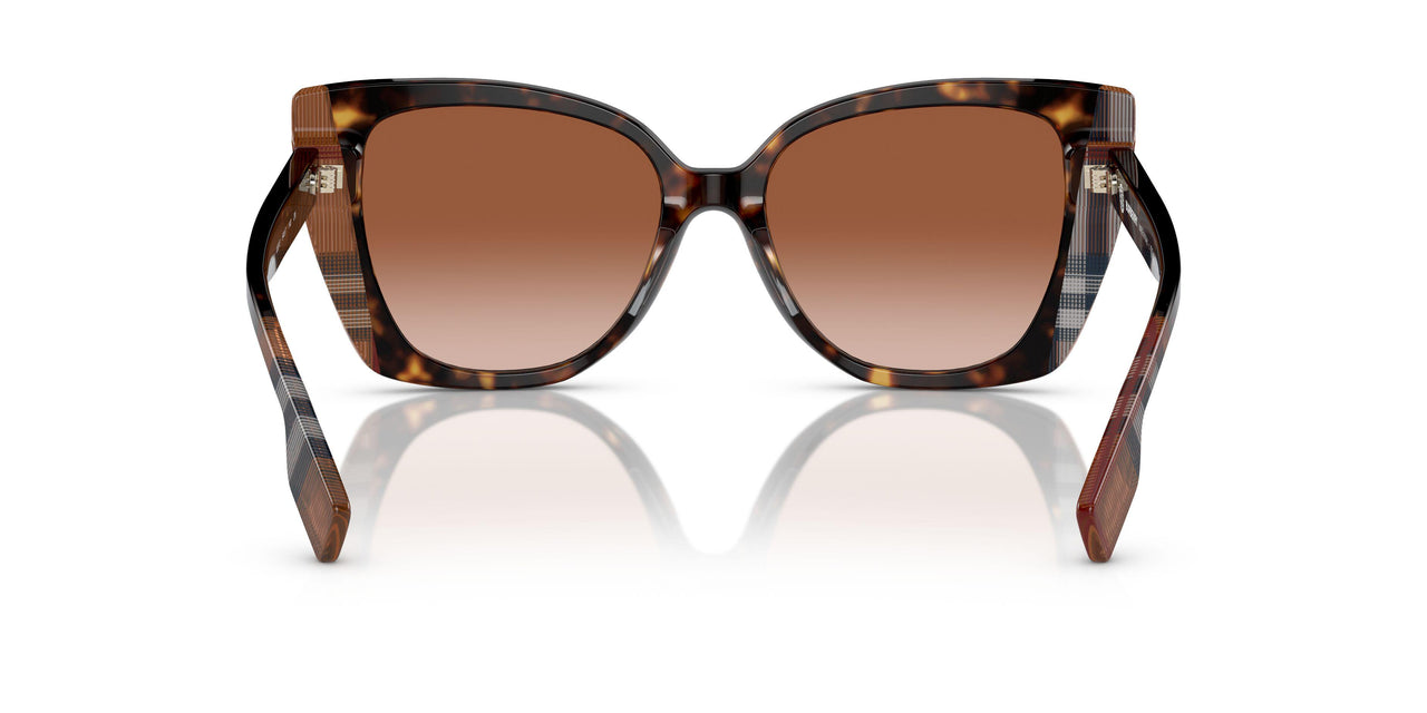 405313 - Brown - Brown Gradient