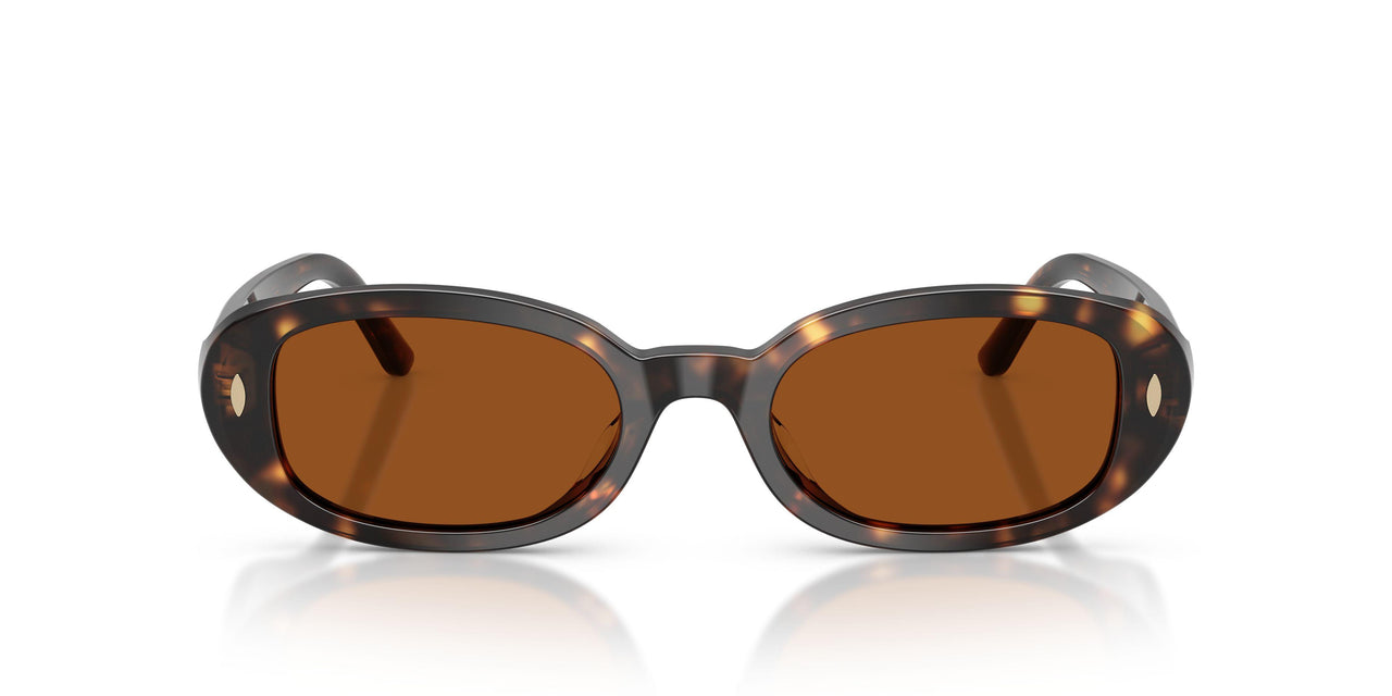196473 - Tortoise - Dark Red Brown