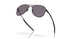 605001 - Black - Prizm Grey Polar