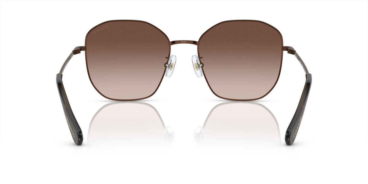 400213 - Brown - Gradient Brown